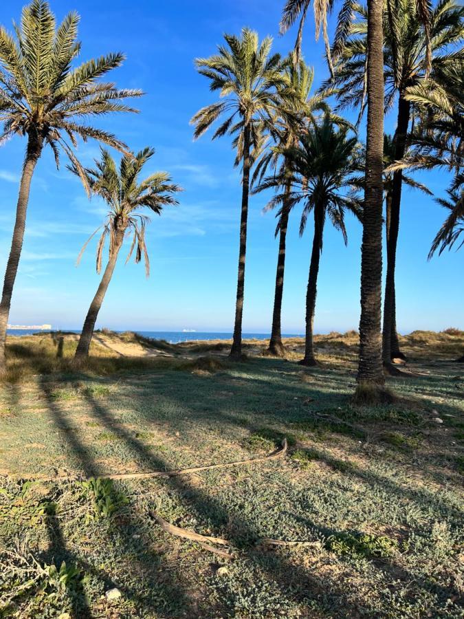 Apartment Gound Floor Jumilla Iii Playa Flamenca *